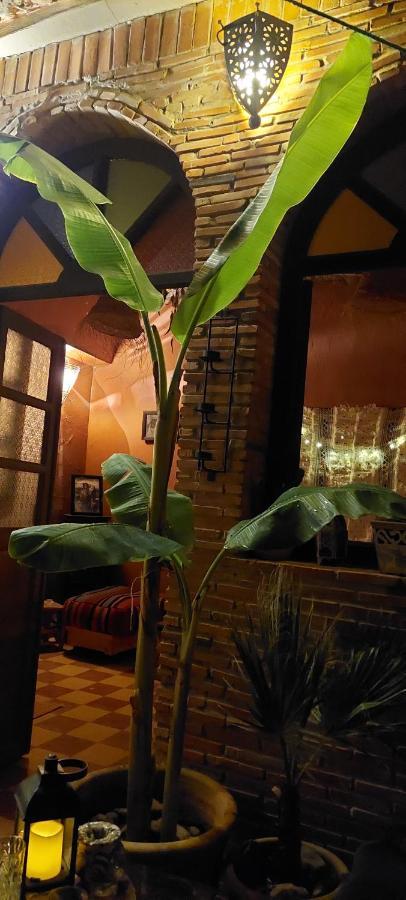 Riad Kainos Marrakesh Luaran gambar