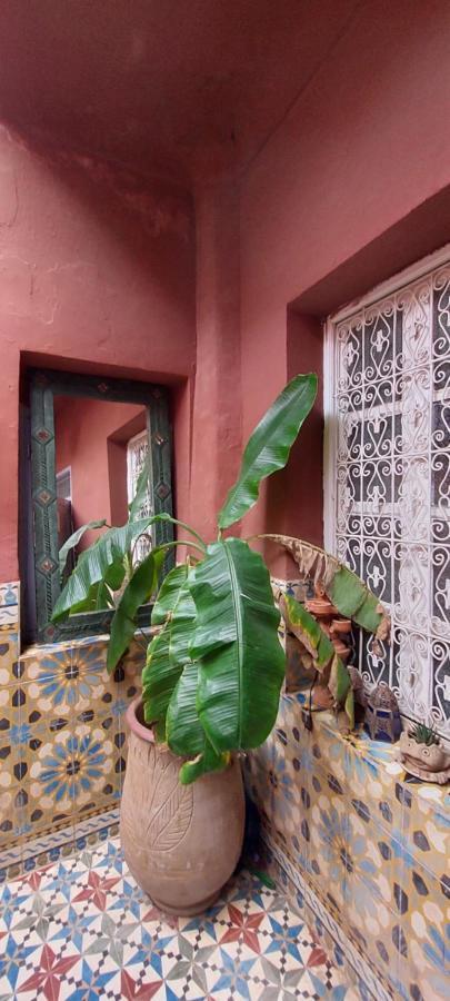 Riad Kainos Marrakesh Luaran gambar